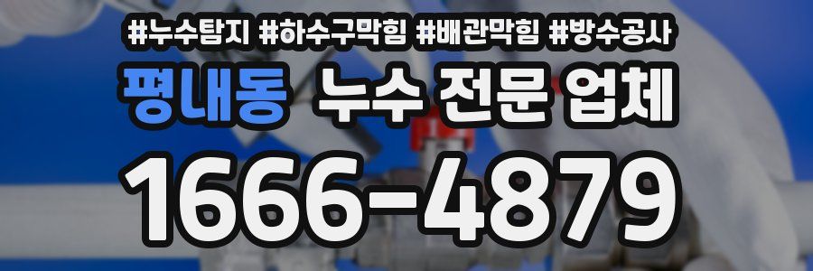 평내동 누수 전문 업체
