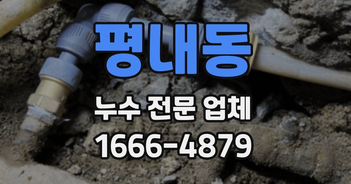 평내동 누수 전문 업체
