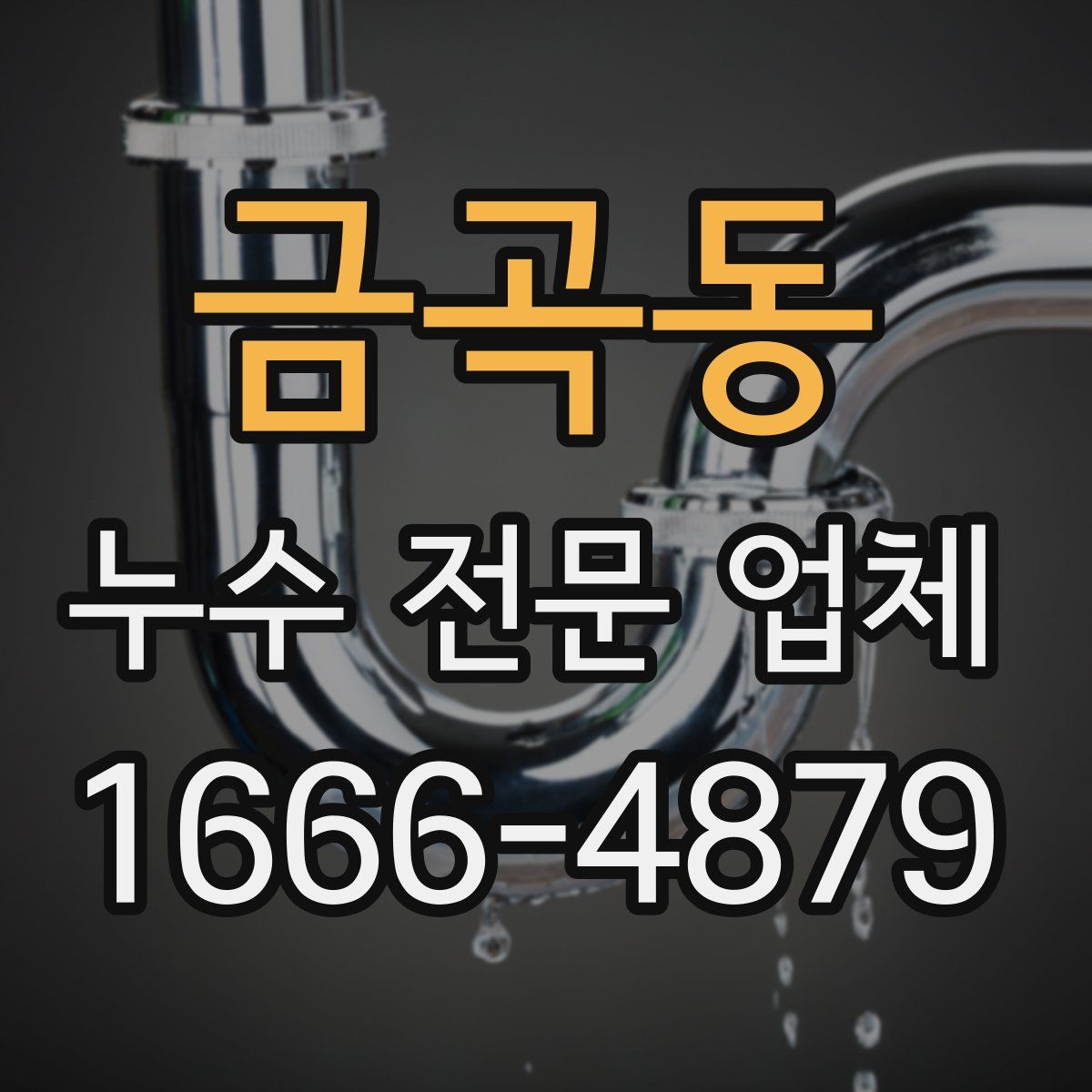 금곡동 누수 전문 업체