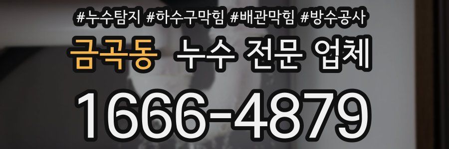 금곡동 누수 전문 업체