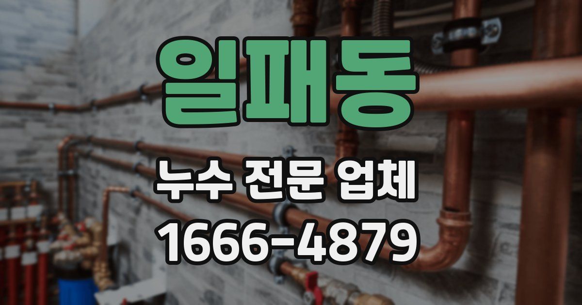 일패동 누수 전문 업체