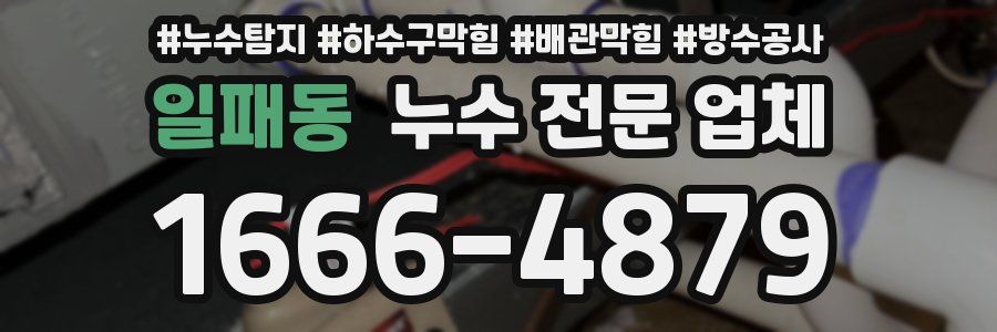 일패동 누수 전문 업체