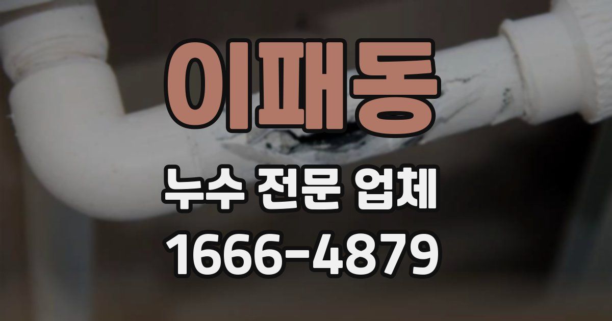이패동 누수 전문 업체