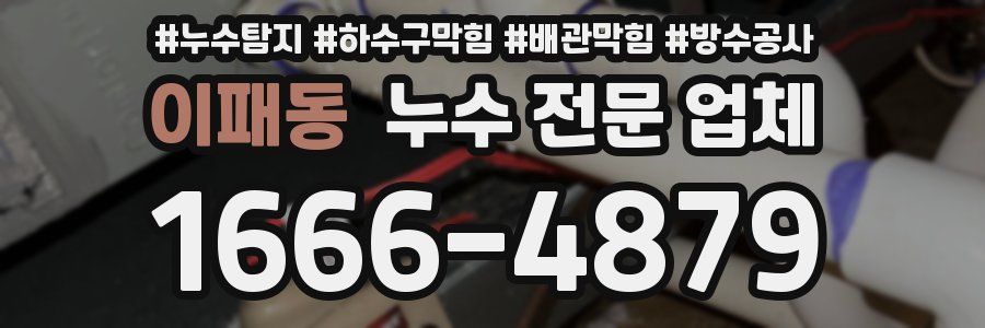 이패동 누수 전문 업체