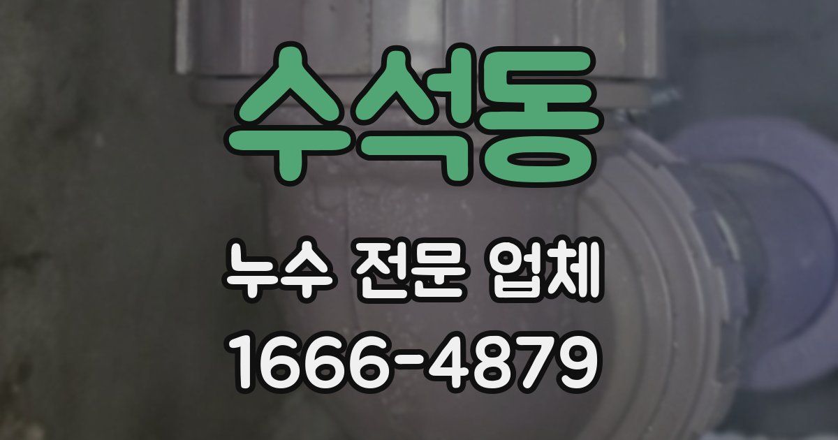수석동 누수 전문 업체