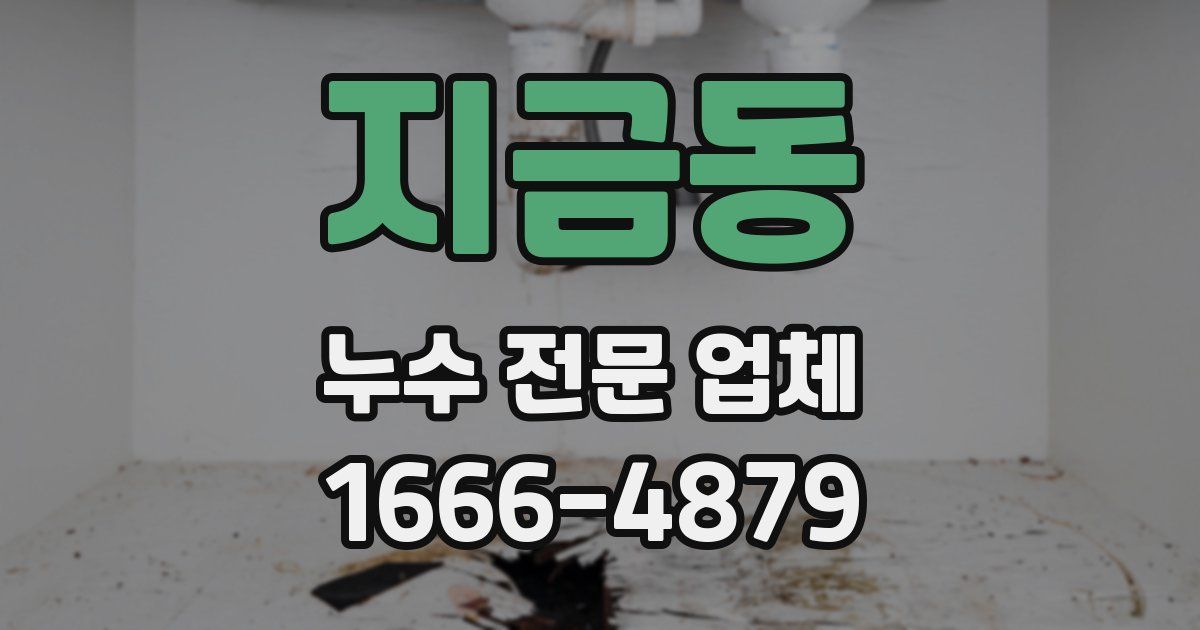지금동 누수 전문 업체
