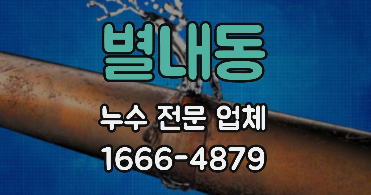 별내동 누수 전문 업체