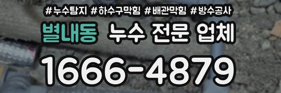 별내동 누수 전문 업체