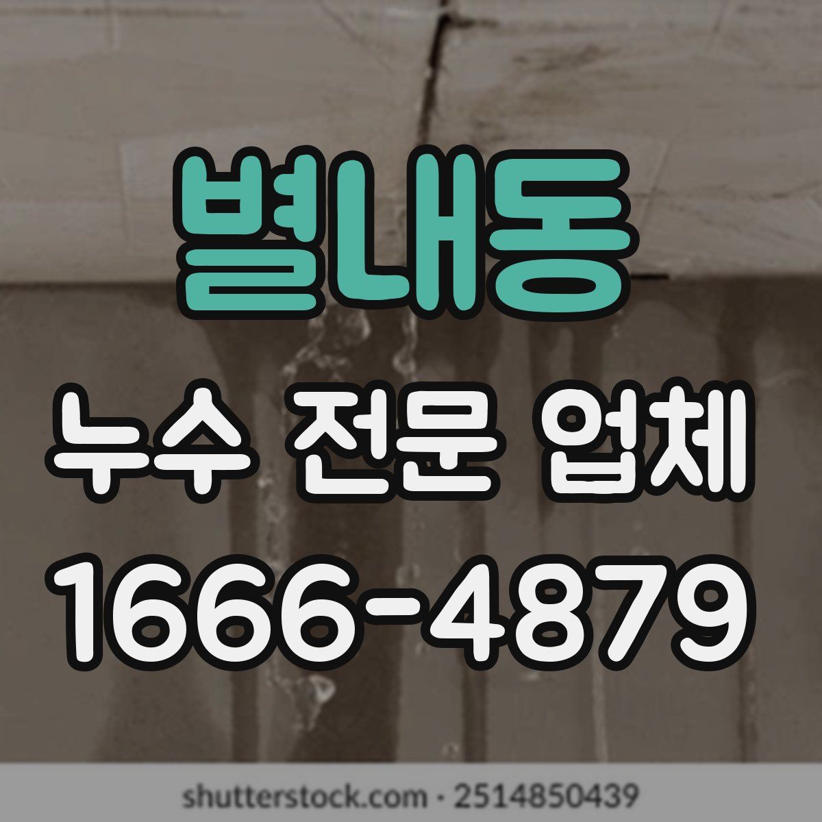 별내동 누수 전문 업체