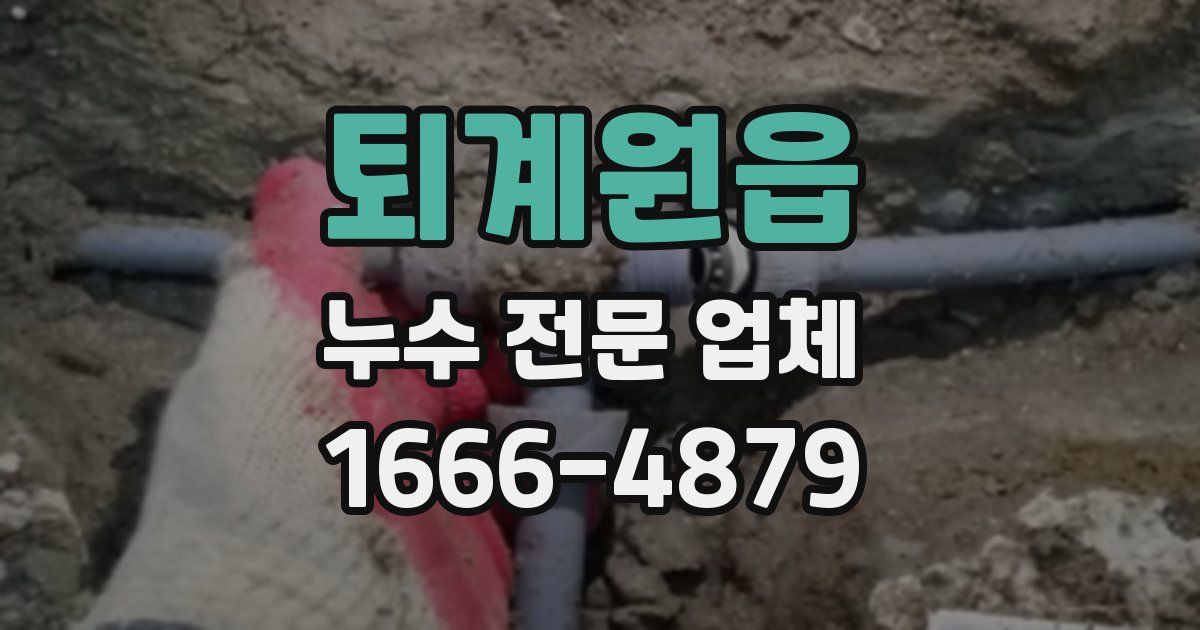퇴계원읍 누수 전문 업체