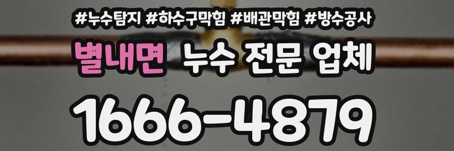 별내면 누수 전문 업체