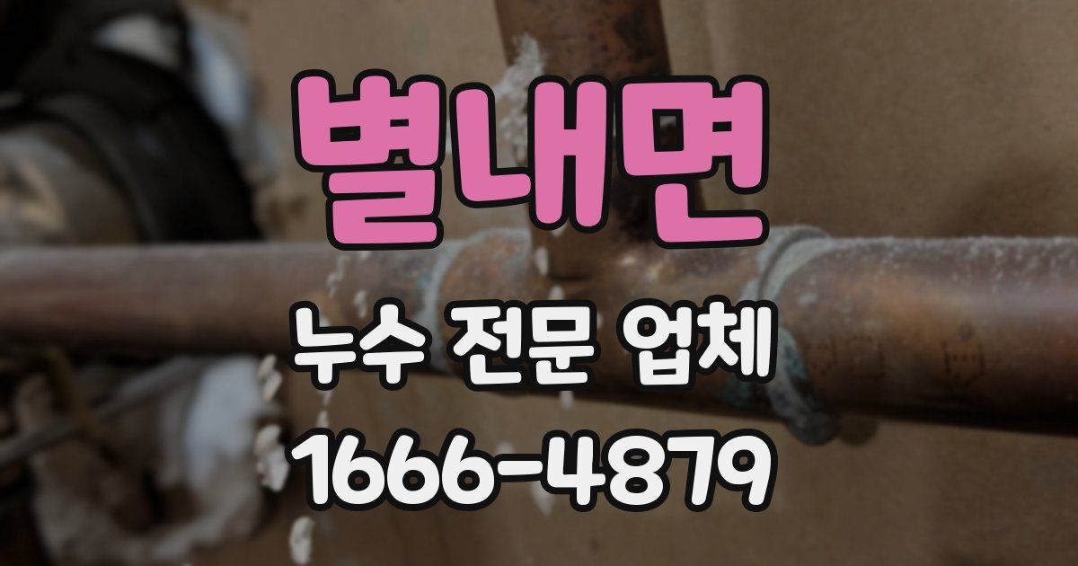 별내면 누수 전문 업체