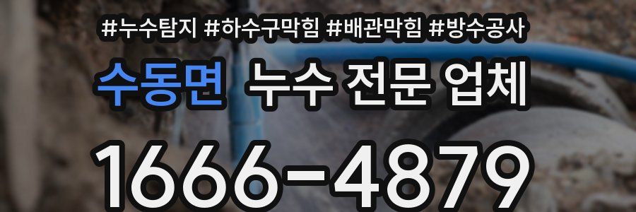 수동면 누수 전문 업체
