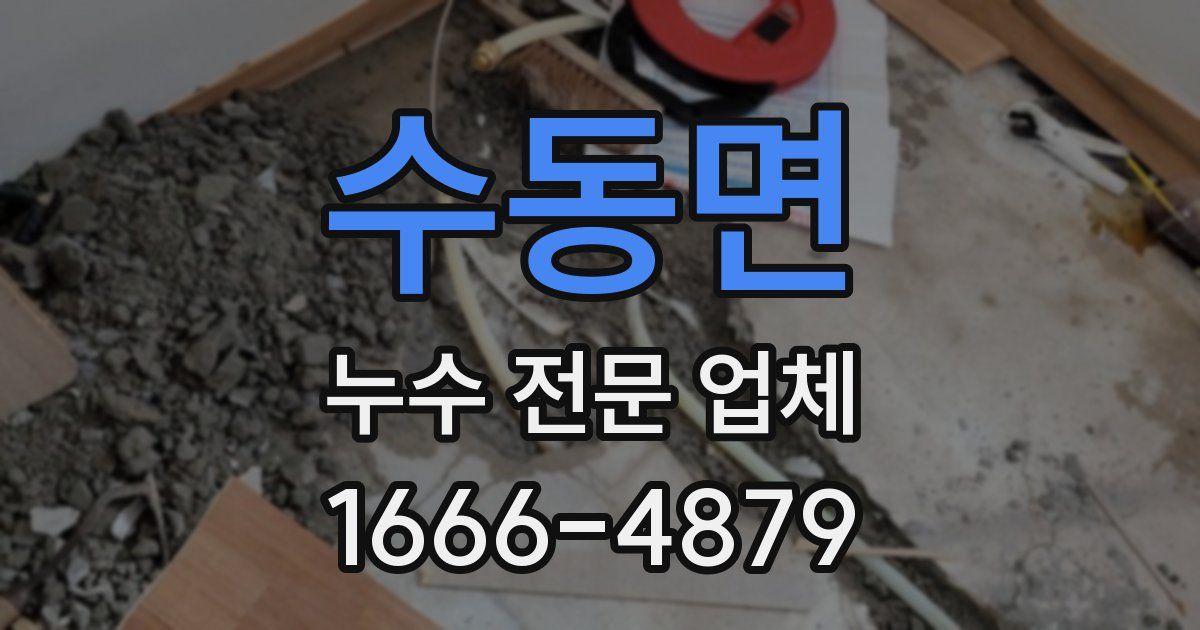 수동면 누수 전문 업체