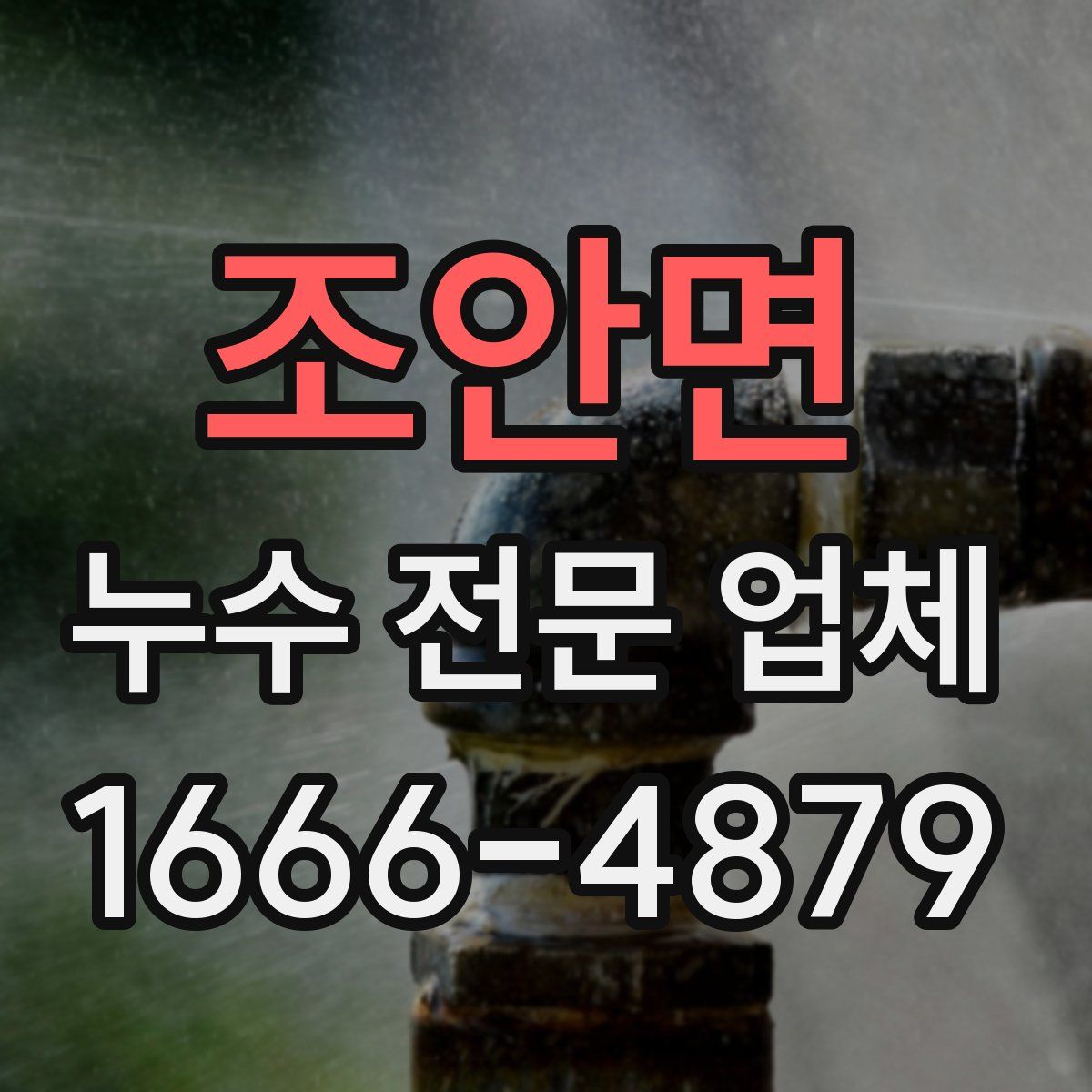 조안면 누수 전문 업체