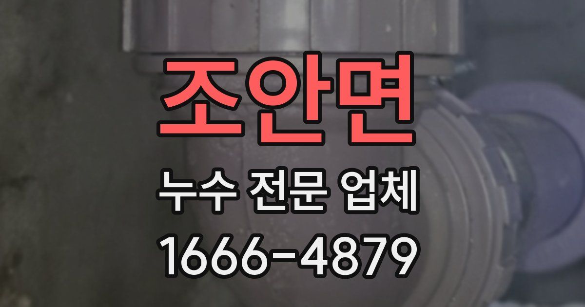 조안면 누수 전문 업체