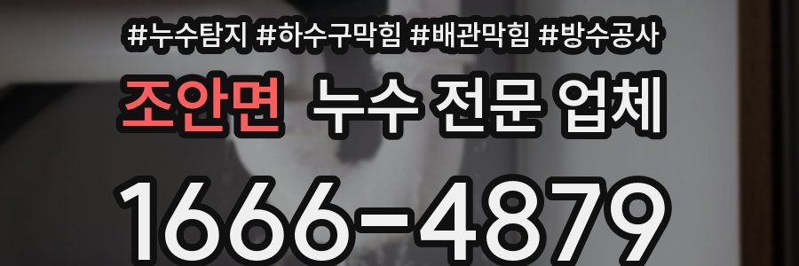 조안면 누수 전문 업체