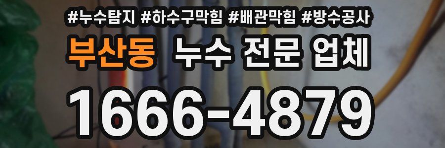 부산동 누수 전문 업체
