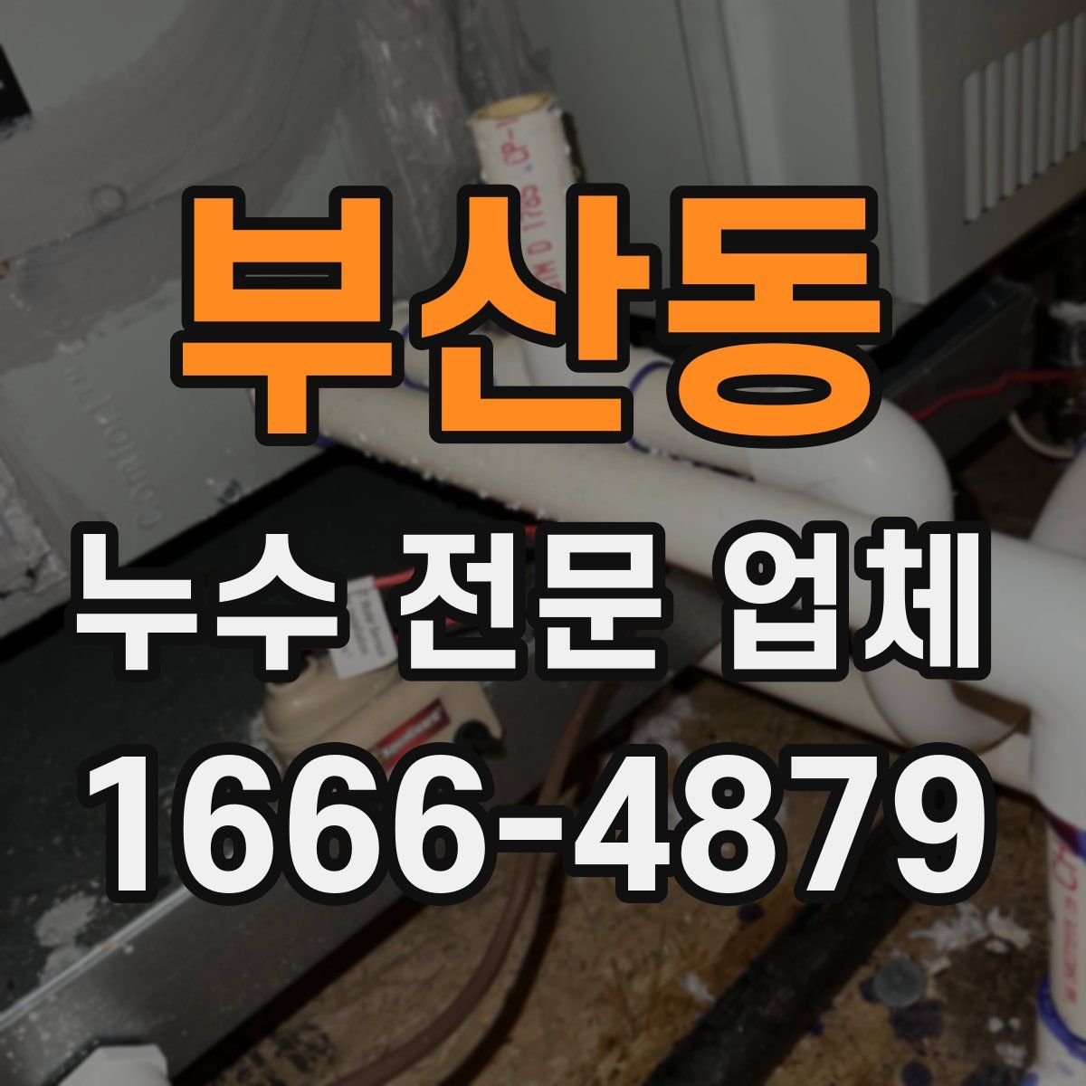 부산동 누수 전문 업체