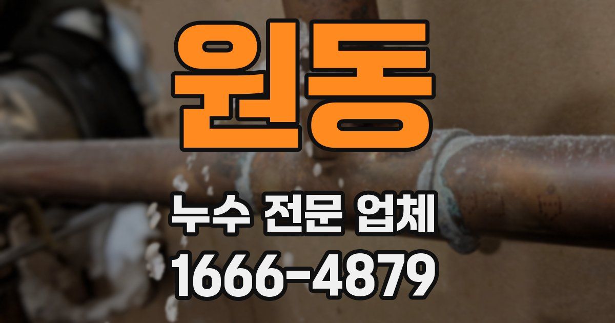 원동 누수 전문 업체