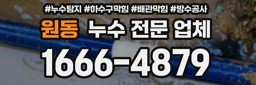 원동 누수 전문 업체
