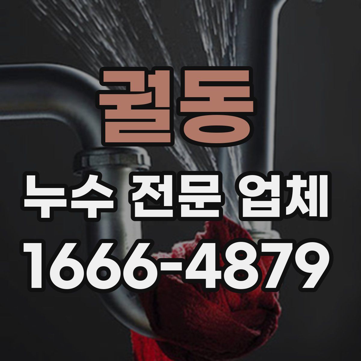 궐동 누수 전문 업체