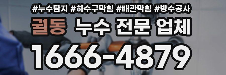 궐동 누수 전문 업체