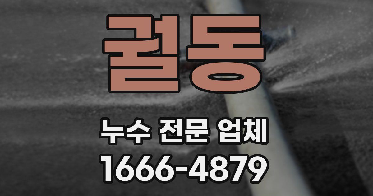 궐동 누수 전문 업체
