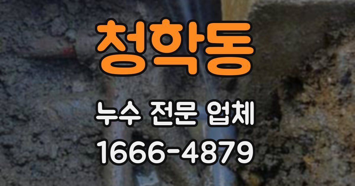 청학동 누수 전문 업체