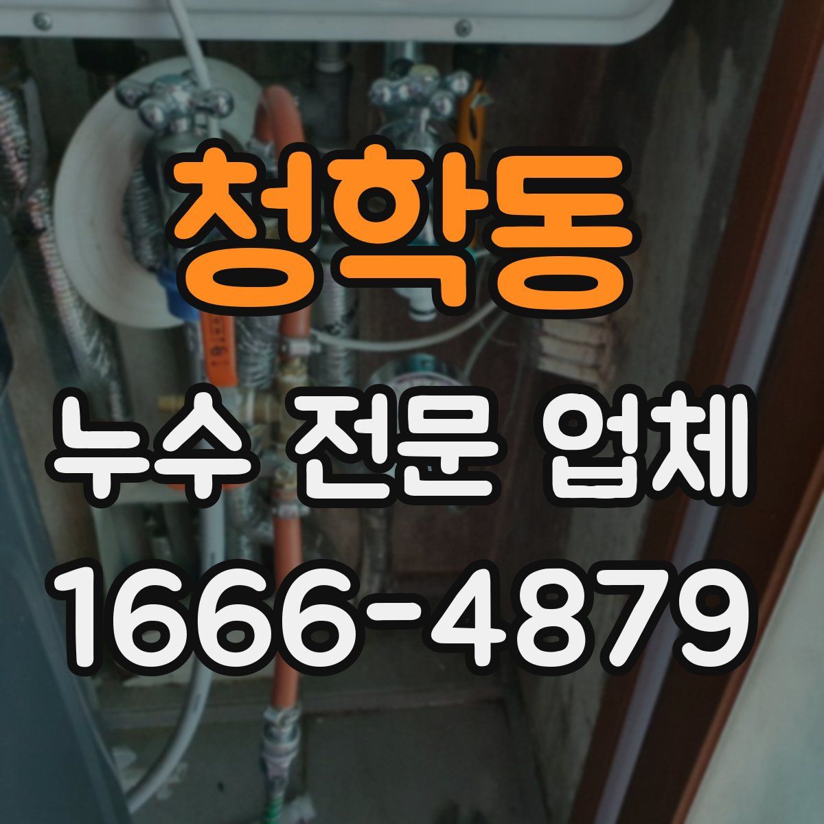 청학동 누수 전문 업체