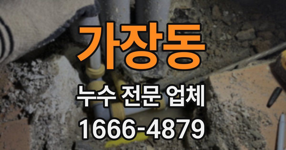 가장동 누수 전문 업체