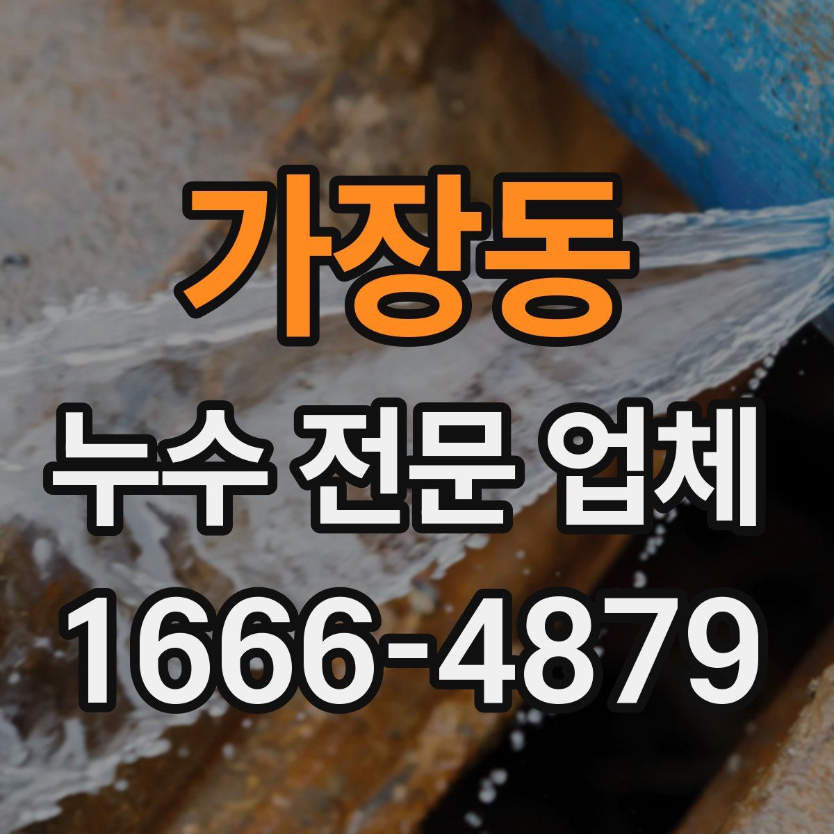 가장동 누수 전문 업체