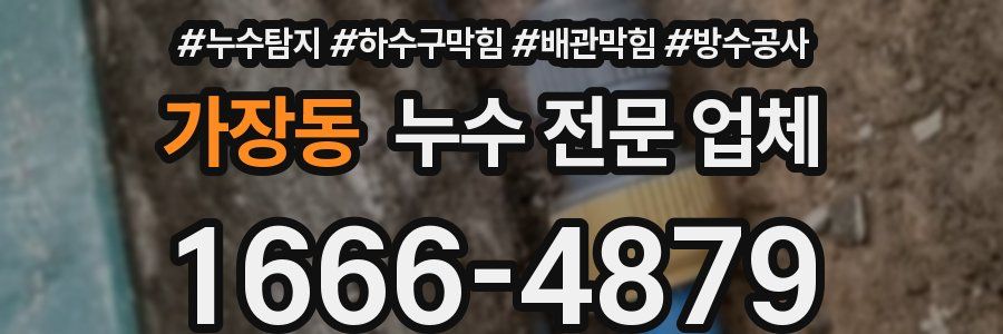 가장동 누수 전문 업체