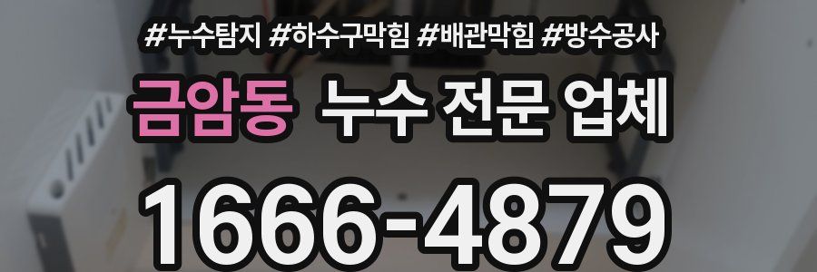 금암동 누수 전문 업체
