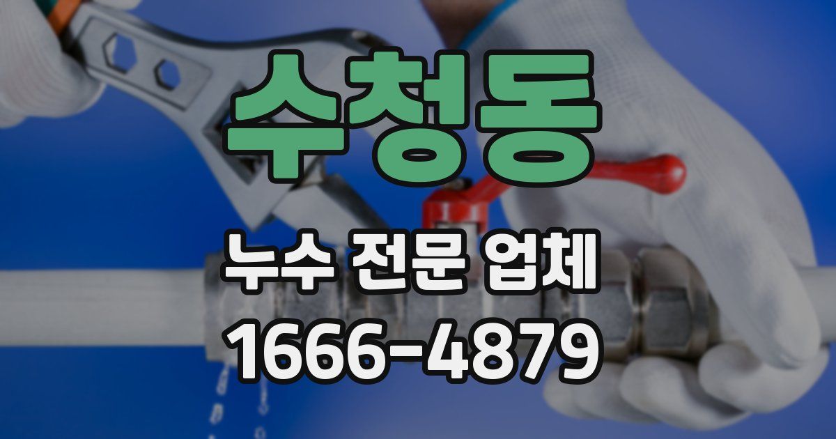 수청동 누수 전문 업체