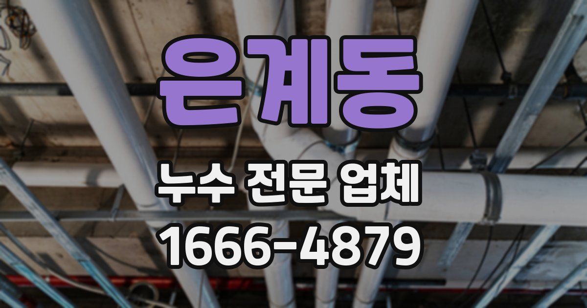은계동 누수 전문 업체
