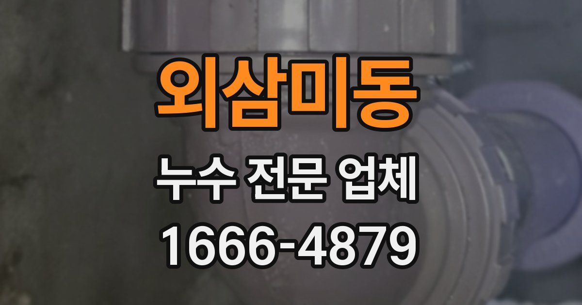 외삼미동 누수 전문 업체