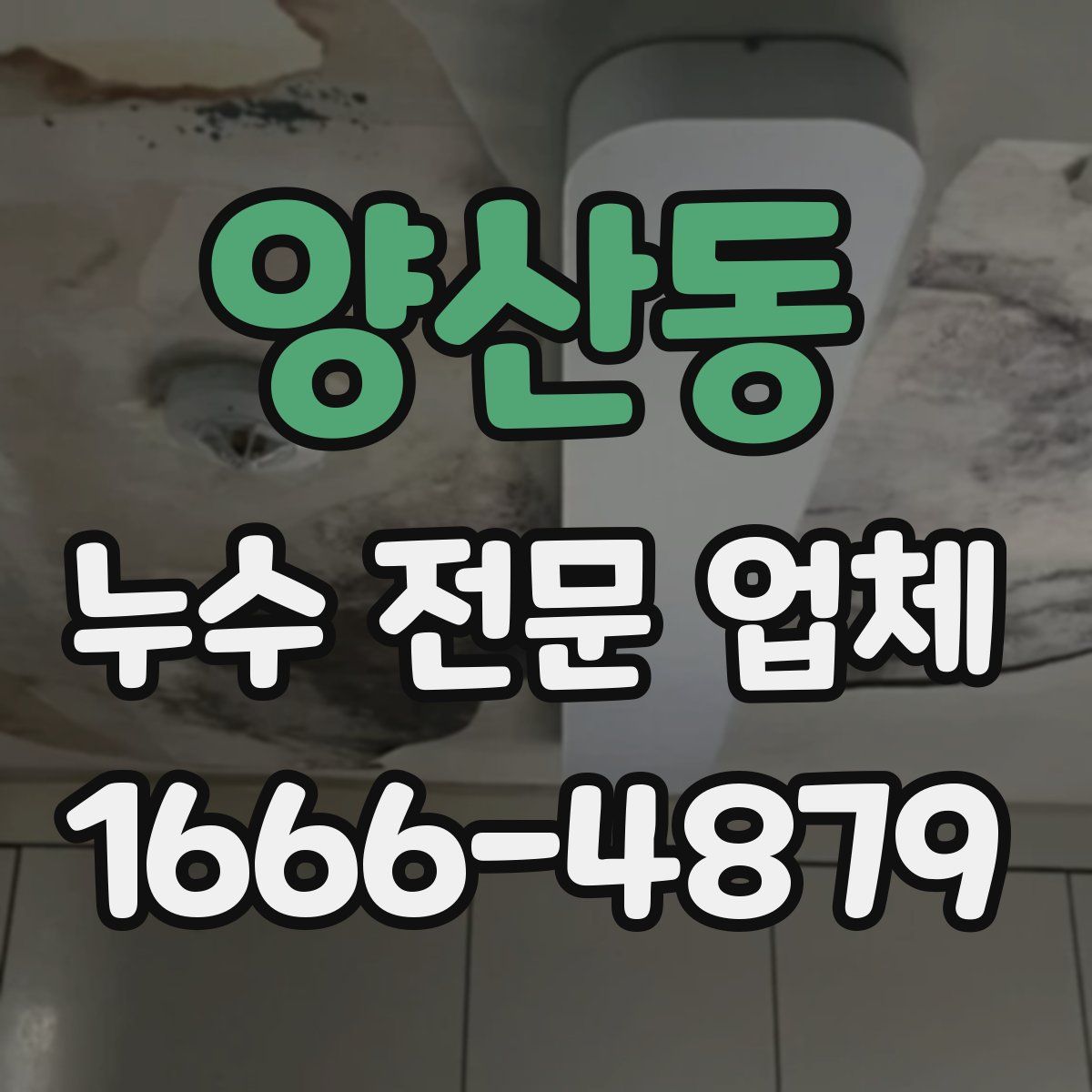 양산동 누수 전문 업체
