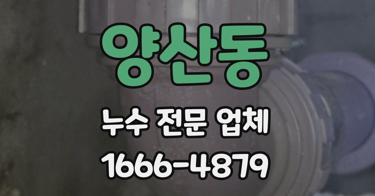 양산동 누수 전문 업체