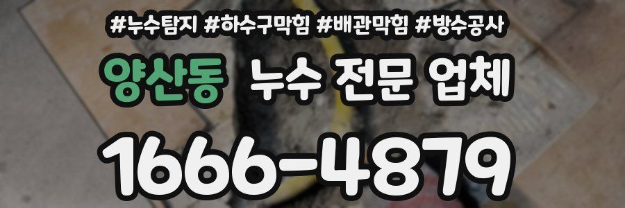 양산동 누수 전문 업체