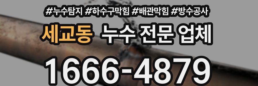 세교동 누수 전문 업체