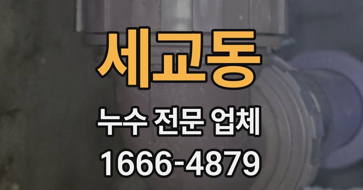 세교동 누수 전문 업체
