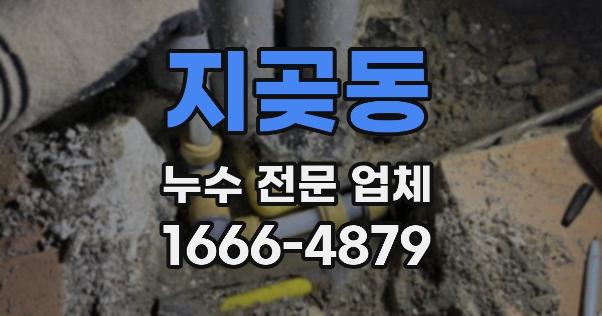 지곶동 누수 전문 업체