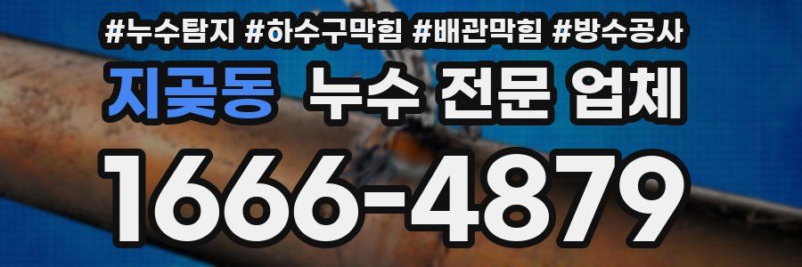 지곶동 누수 전문 업체