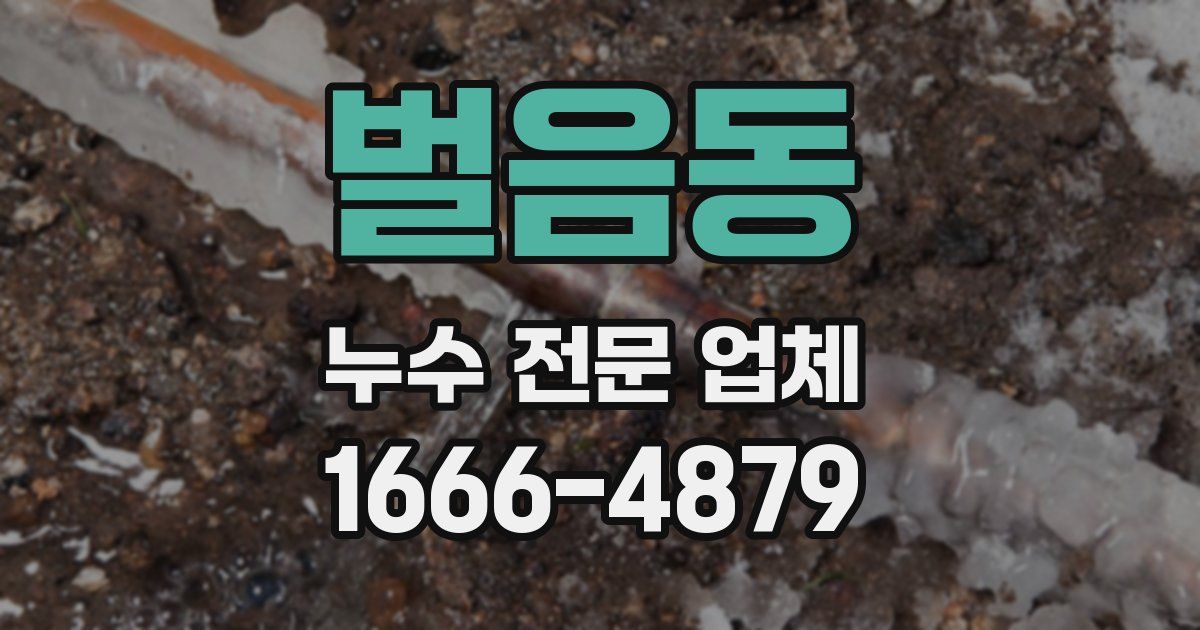 벌음동 누수 전문 업체