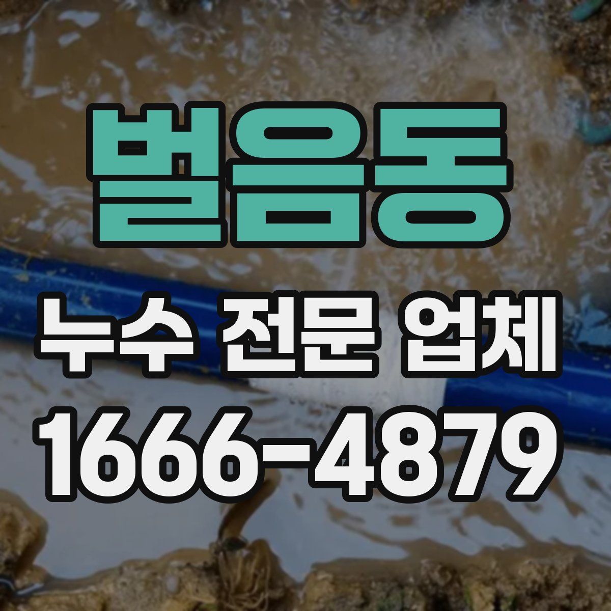 벌음동 누수 전문 업체