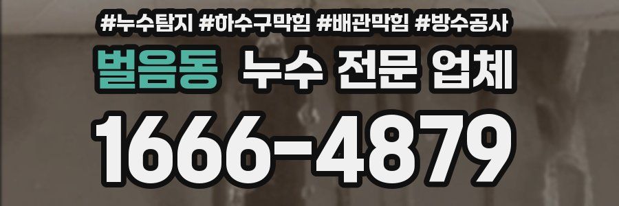 벌음동 누수 전문 업체