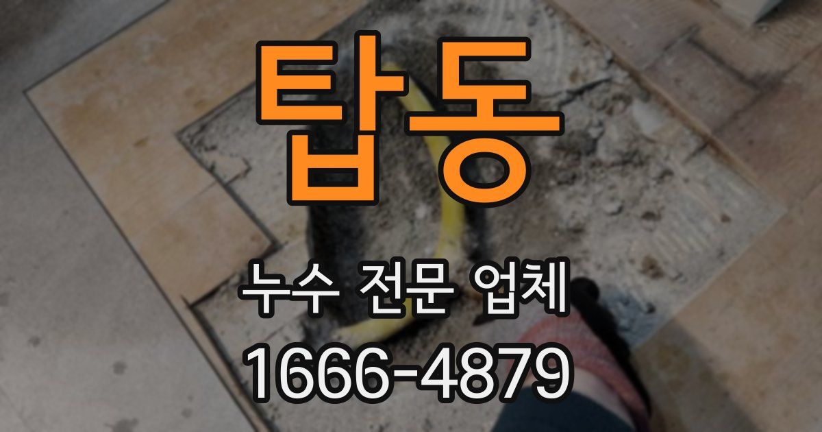 탑동 누수 전문 업체