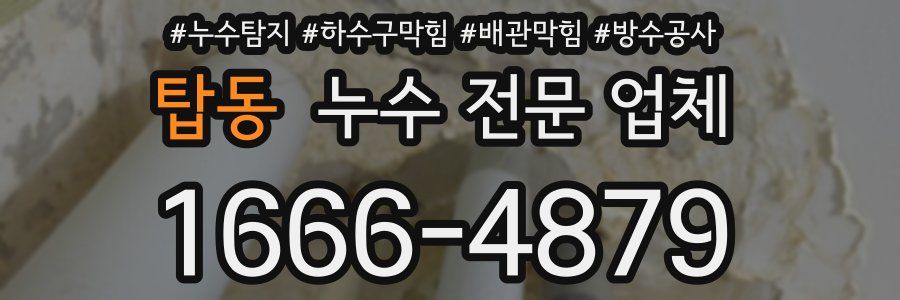 탑동 누수 전문 업체