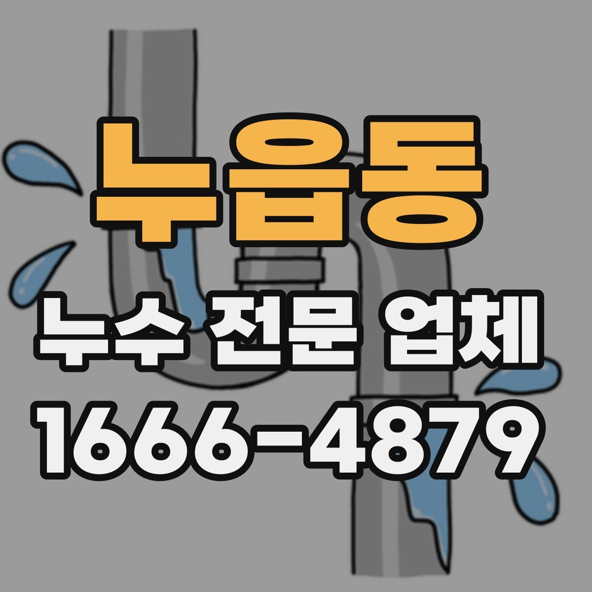 누읍동 누수 전문 업체